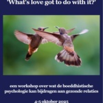 weekend-workshop-gezonde-relaties.